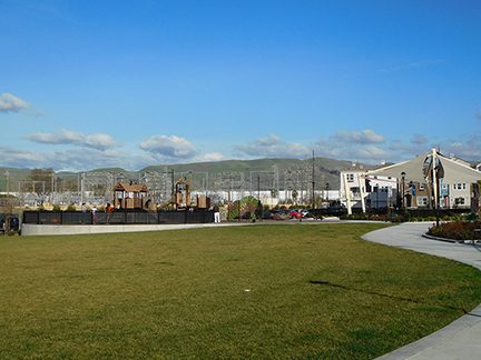 Open Field Area at Bob McGuire Park