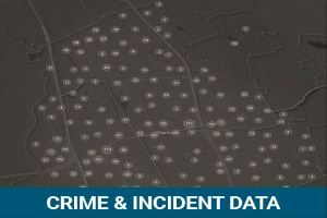 Crime and Incident Data Sepia