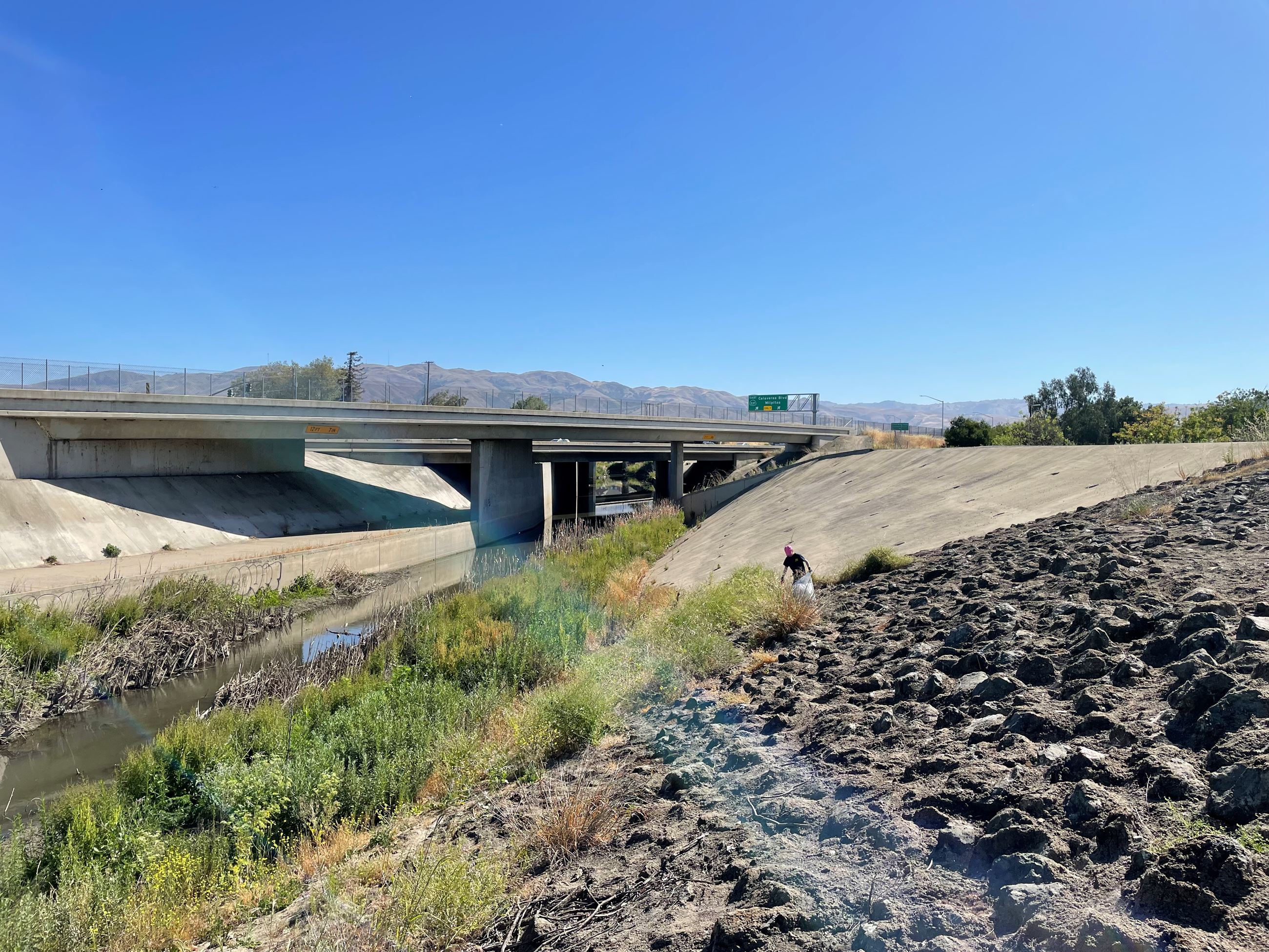 Volunteer cleaning Coyote Creek