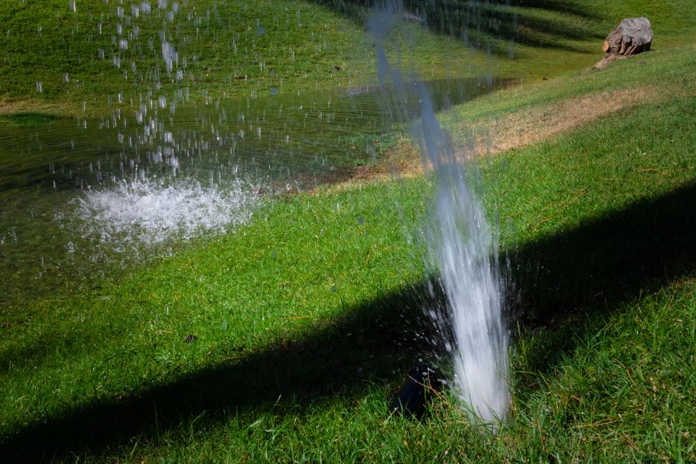 Lawn with broken sprinkler shooting water