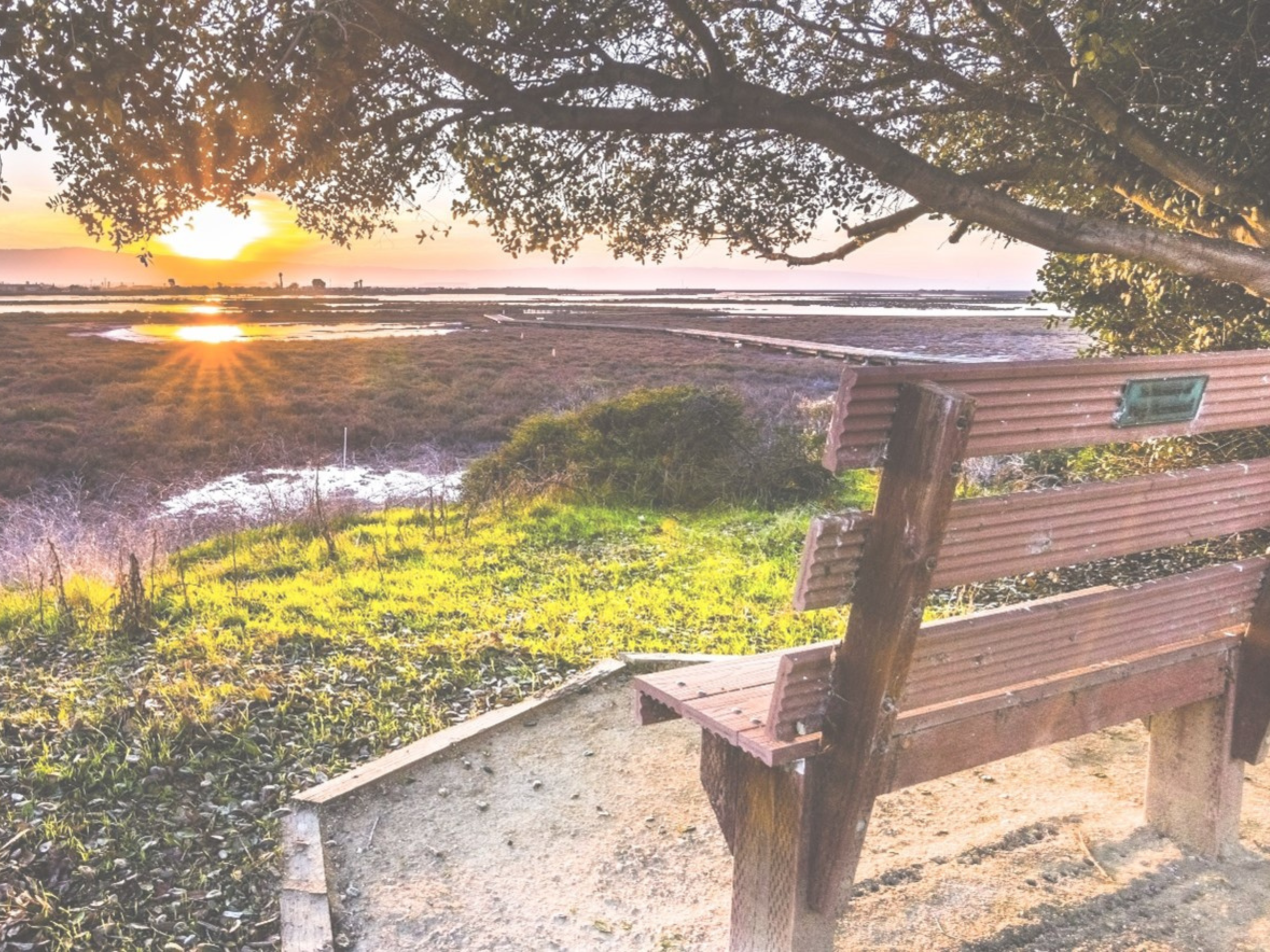 Local bench facing the marsh and sunset