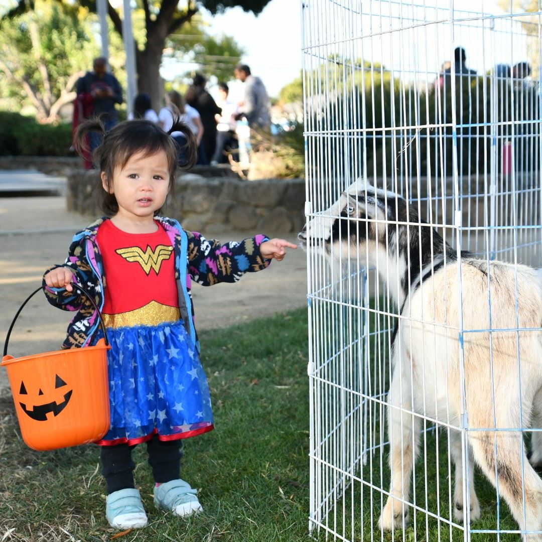 SQ Little Wonder Woman with goats