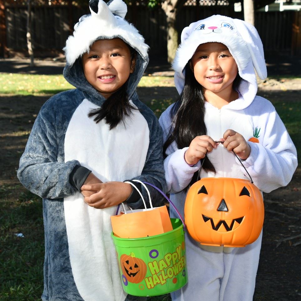 SQ Bunny and Squirrel with candy pumpkins