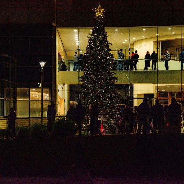 Milpitas holiday tree lit as viewers watch from inside City Hall
