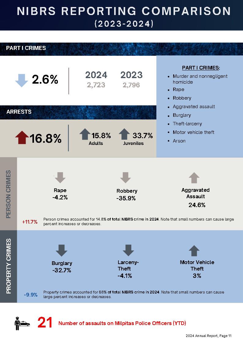 12 - NIBRS Reporting